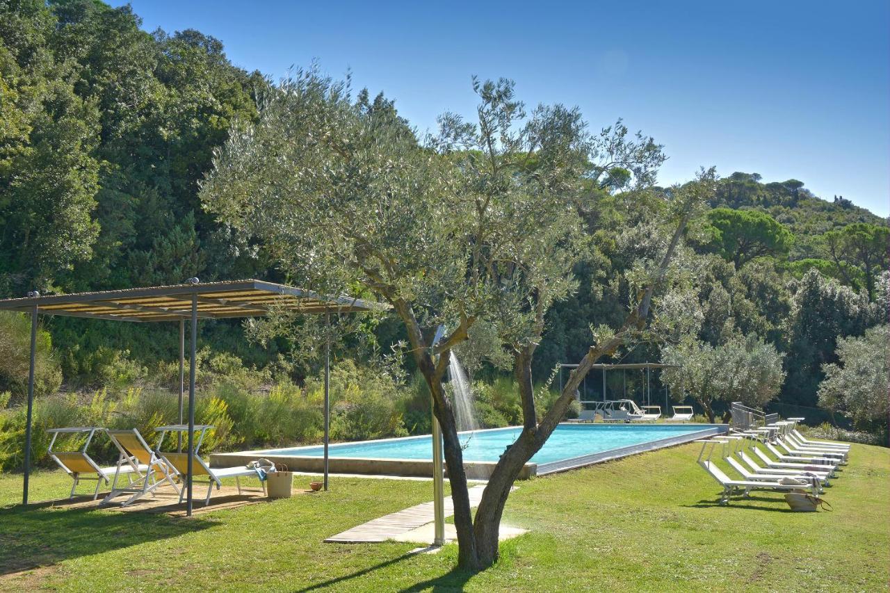 Ferienwohnung Castello Ginori Di Querceto Querceto  Exterior foto